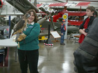 Mary-Beth and Dakota, the red-tailed hawk, at Open Cockpit Day at the New England Air Museum.