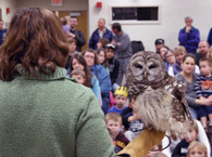 Mary-Beth and Emrys, the barred owl, at the Wallingford Library.