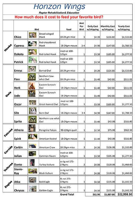Chart illustrating total food costs per bird