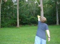 Volunteer Galen Riordan releasing and eastern screech owl.