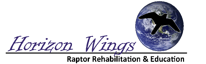 Horizon Wings logo
