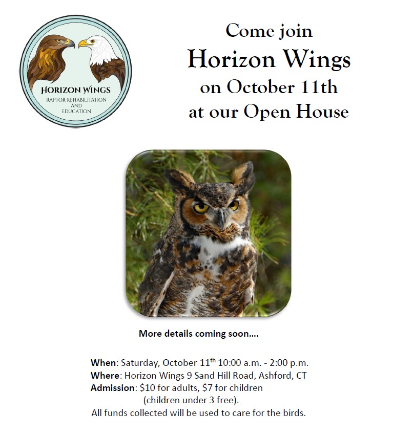 open house